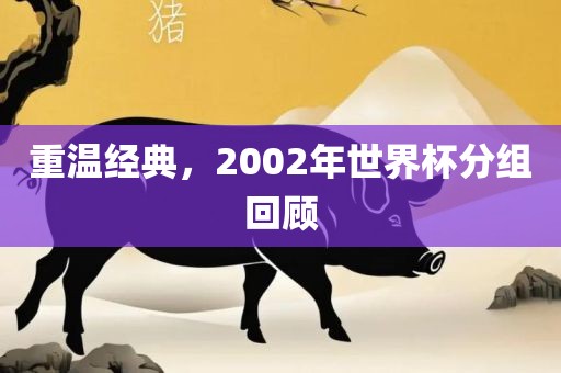 重温经典，2002年世界杯分组回顾