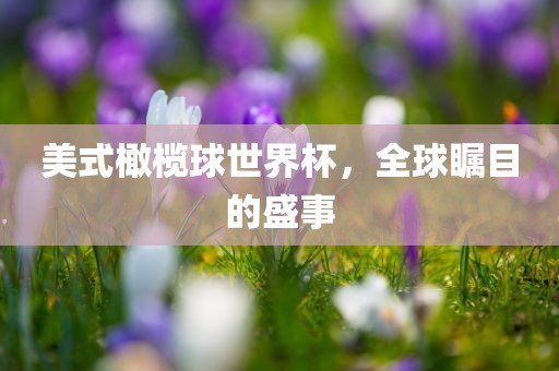 美式橄榄球世界杯，全球瞩目的盛事
