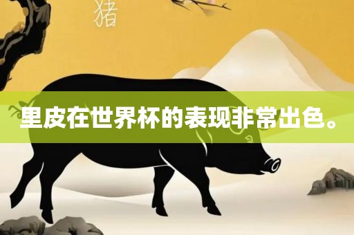 里皮在世界杯的表现非常出色。眉山市正发家政服务有限公司