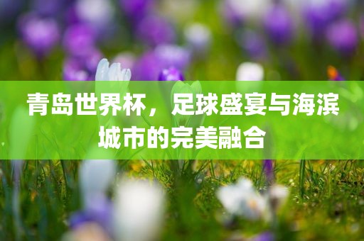 青岛世界杯，足球盛宴与海滨城市的完美融合