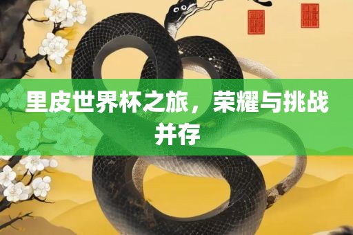 里皮世界杯之旅，荣耀与挑战并存