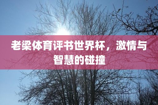 老梁体育评书世界杯，激情与眉山市正发家政服务有限公司智慧的碰撞