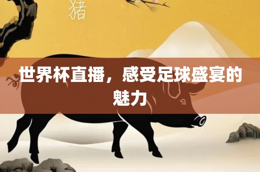 世界杯直播，感受足球盛宴的魅力