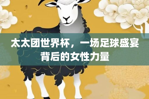 太太团世界杯，一场足眉山市正发家政服务有限公司球盛宴背后的女性力量