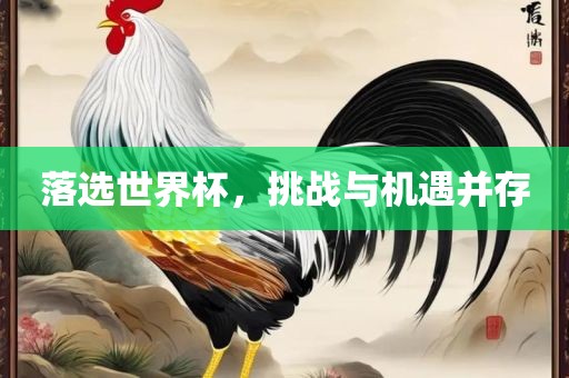 落选世界杯，挑战与机遇并存