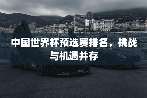 中国世界杯预选赛排名，挑战与机遇并存