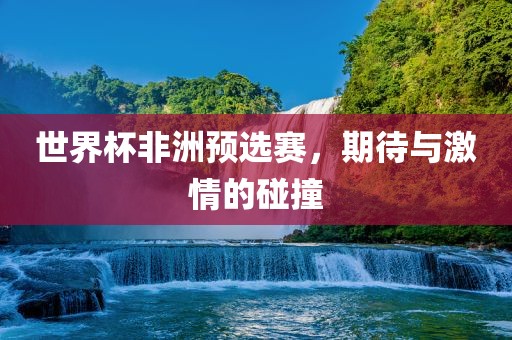世界杯非洲预选赛，期待与激情的碰撞眉山市正发家政服务有限公司