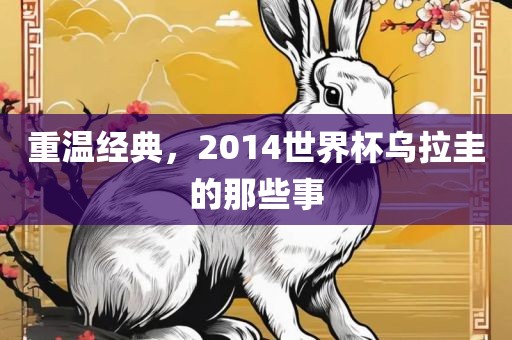 重温经眉山市正发家政服务有限公司典，2014世界杯乌拉圭的那些事