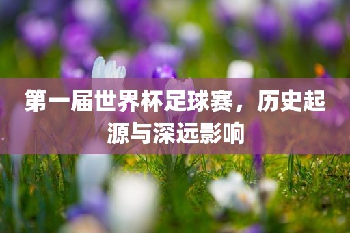 第一届世界杯足球赛，历史起源与深远影响