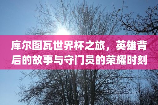 库尔图瓦世界杯之旅，英雄背后的故事与守门员的荣耀时刻眉山市正发家政服务有限公司