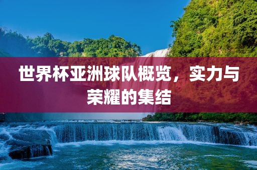 世界杯亚洲球队概览，实力与眉山市正发家政服务有限公司荣耀的集结