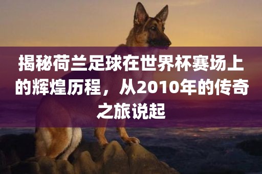 揭秘荷兰足球在世界杯赛场上的辉煌历程，从2010年的传奇之旅说起
