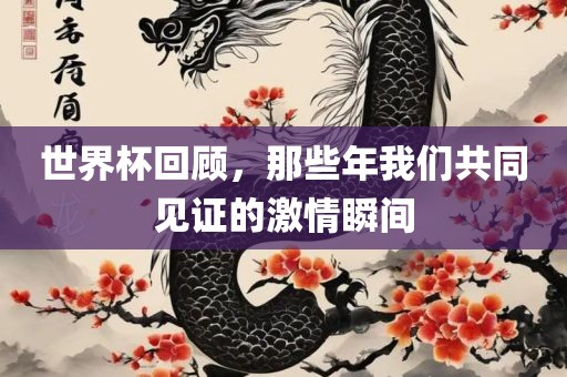 世界杯回顾，那些年我们共同见证的激情瞬间