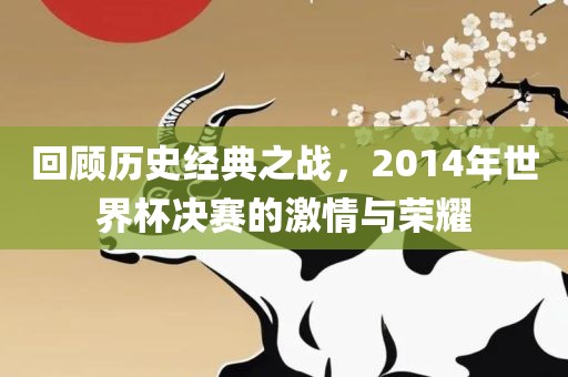 回顾历史经典之战，2014年世界杯决赛的激情与荣耀