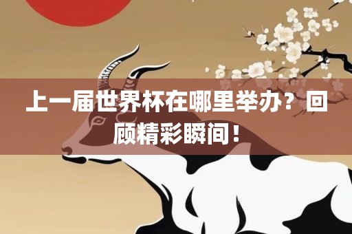 上一届世界杯在哪里举办？回顾精彩瞬间！眉山市正发家政服务有限公司