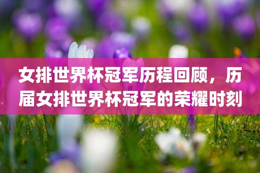 女排世界杯冠军历程回顾，历届女排世界杯冠军的荣耀时刻