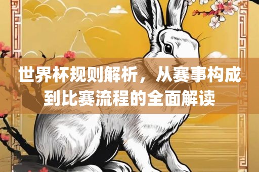 世界杯规则解析，从赛事构成到比赛流程的全面解读