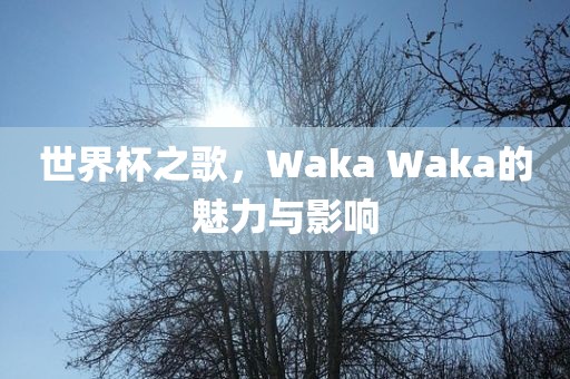 世界杯之歌，Waka Waka的魅力与影响