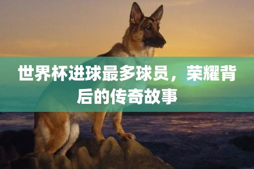 世界杯进球最多球员，荣耀背后的传奇故事