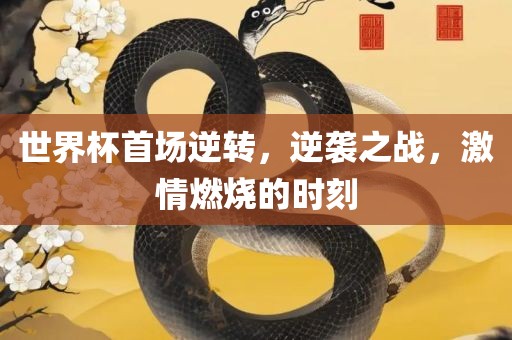 世界杯首场逆转，逆袭之战，激情燃眉山市正发家政服务有限公司烧的时刻