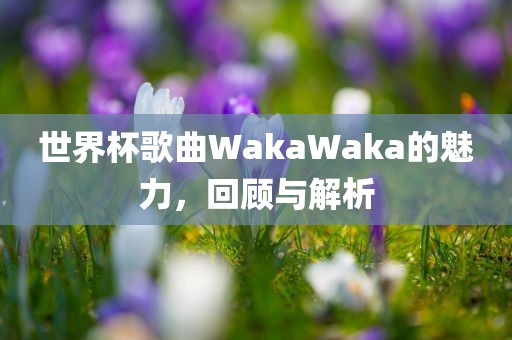 世界杯歌曲WakaWaka的魅力，回顾与解析眉山市正发家政服务有限公司