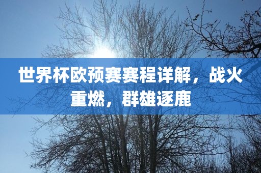 世界杯欧预赛赛程详解，战火重燃，群雄逐鹿眉山市正发家政服务有限公司