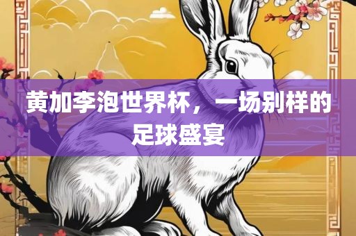 眉山市正发家政服务有限公司黄加李泡世界杯，一场别样的足球盛宴