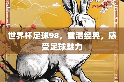 世界杯足球98，重温经典，感受足球魅力眉山市正发家政服务有限公司