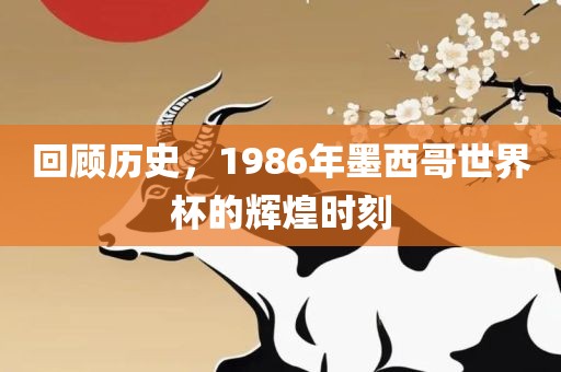 回顾历史，1986年墨西哥世界杯的辉煌时刻
