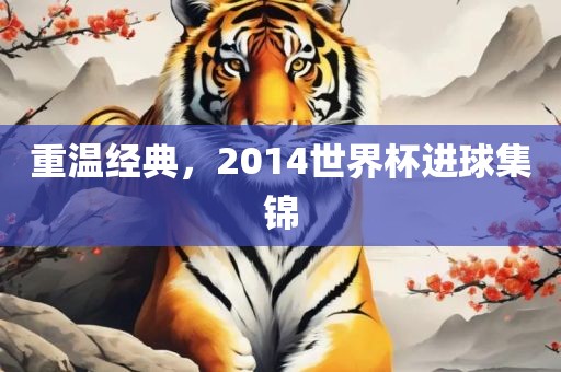 重温经典，2014世界杯进球集锦