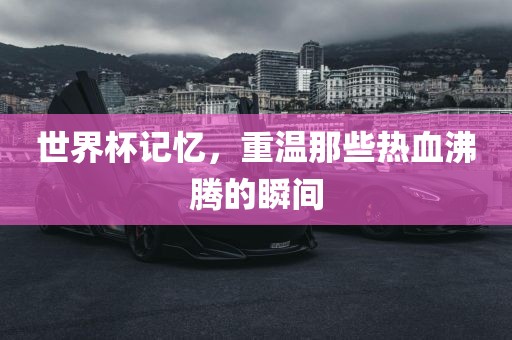 世眉山市正发家政服务有限公司界杯记忆，重温那些热血沸腾的瞬间
