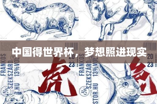 中国得世界杯，梦想照进现实