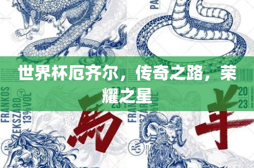 世界杯厄齐尔，传奇之路，荣耀之星
