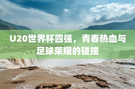 U20世界杯四强，青春热血与足球荣耀的碰撞