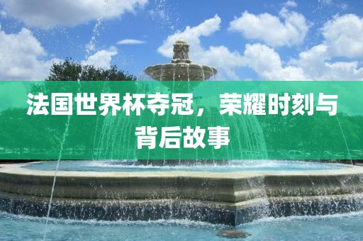 法国世界杯夺冠，荣耀时刻与背后故事眉山市正发家政服务有限公司