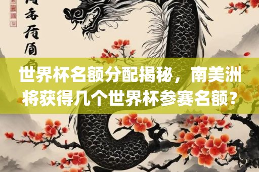 世界杯名额分配揭秘，南美洲将获得几个世界杯参赛名额？