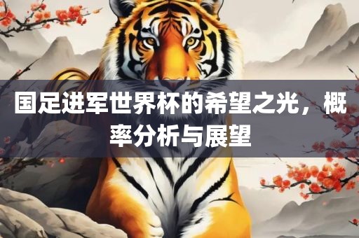 国足进军世界杯的希望之光，概率分析与展望眉山市正发家政服务有限公司