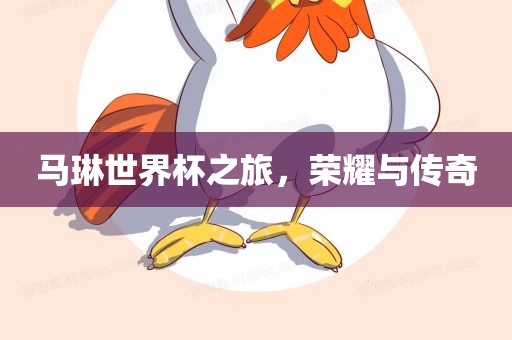 马琳世界杯之旅，荣耀与传奇