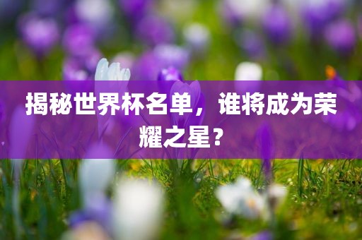 揭秘世界杯名单，谁将成为荣耀之星？