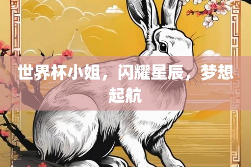 世界杯小姐，闪耀星辰，梦想起航