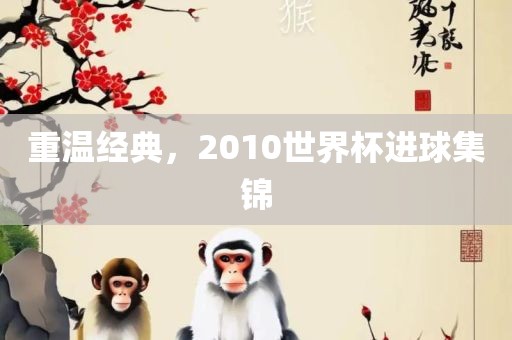 重温经典，2010世界杯进球集锦