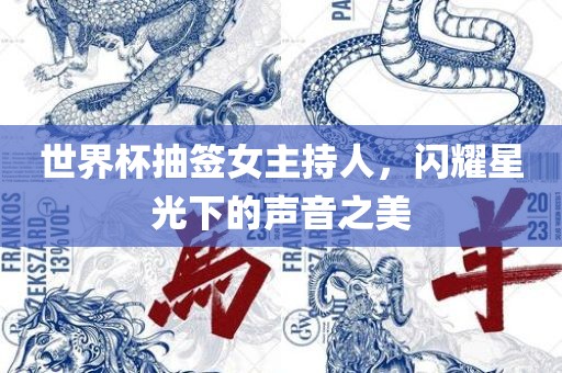 世界杯抽签女主眉山市正发家政服务有限公司持人，闪耀星光下的声音之美