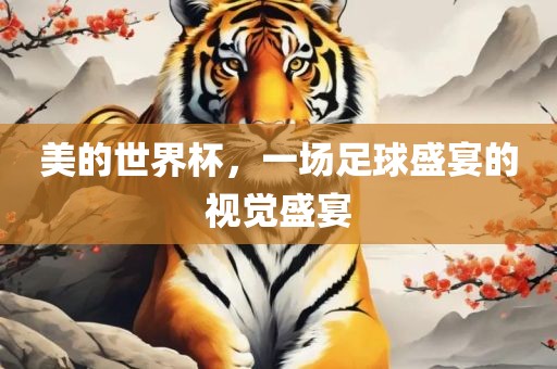 美的世界杯，一场足球盛宴的视觉盛宴