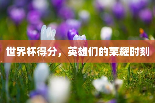 世界杯得分，英雄们的荣耀时刻