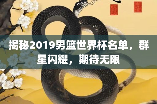 揭秘2019男篮世界杯名单，群星闪耀，期待无限