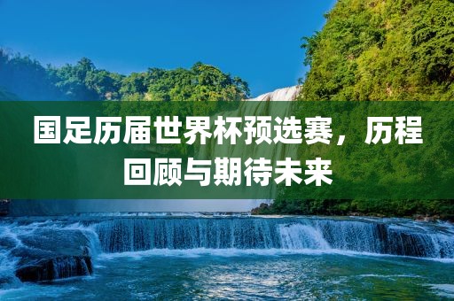 国足历届世界杯预选赛，历程回顾与期待未来