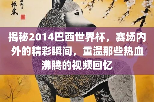 揭秘2014巴西世界杯，赛场内外的精彩瞬间，重温那些热血沸腾的视频回忆
