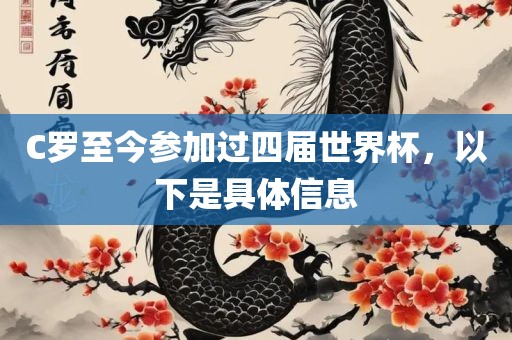 C罗至今参加过四届世界杯，以下是具体信息眉山市正发家政服务有限公司