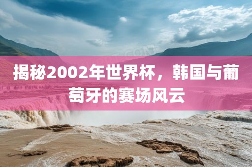 揭秘2002年世界杯，韩国与葡萄牙的赛场风云
