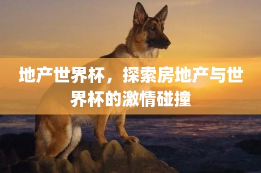 地产世界杯，探索房地产与世界杯的激情碰撞